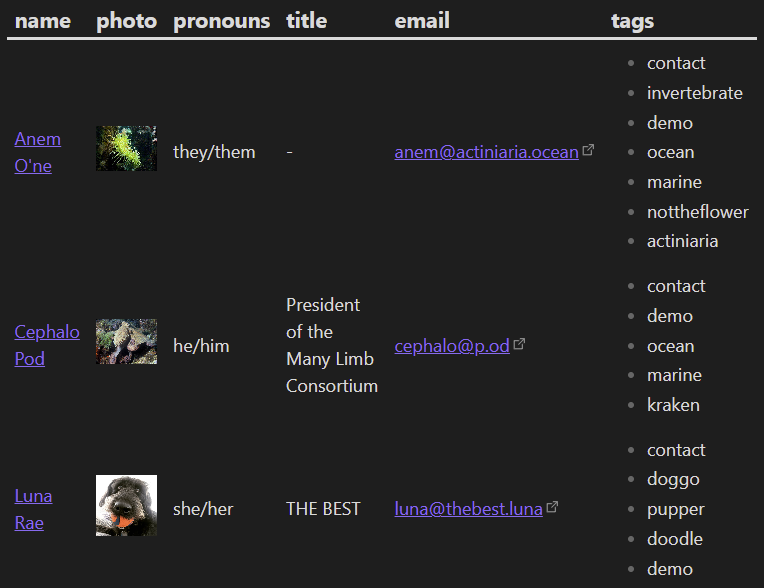 Screenshot of a table of contacts displaying a link to each contact, their name, photo, pronouns, title, email, and tags
