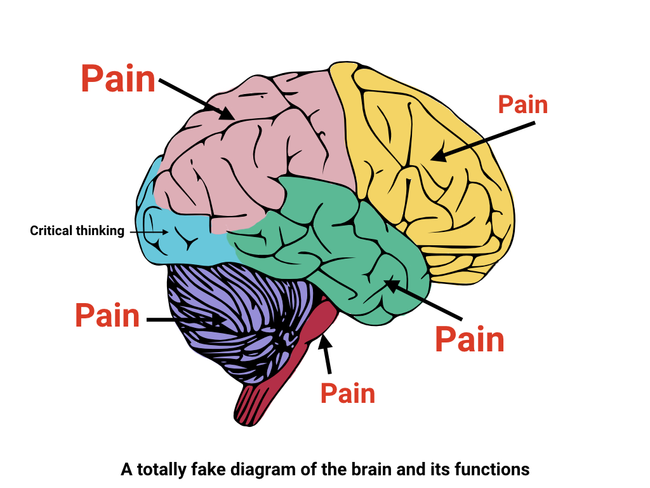 Diagram of a brain with different portions shaded different colors, with the word &ldquo;pain&rdquo; pointing to most of the portions, and the words &ldquo;critical thinking&rdquo; pointing at a very small shaded portion